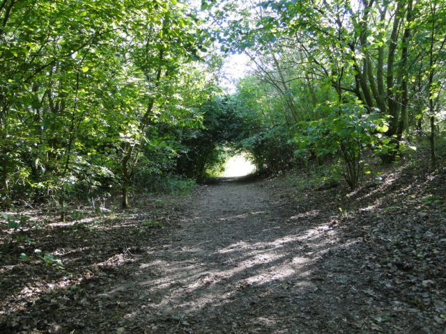 2011HWK 012.jpg